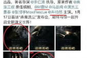 国产曰逼,曰逼时代的艺术探索